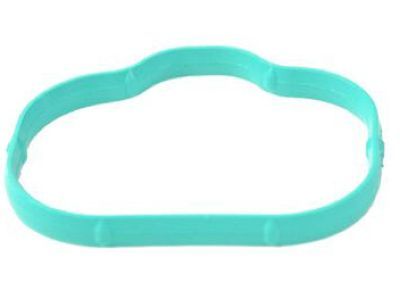 Jeep 68232614AA Gasket