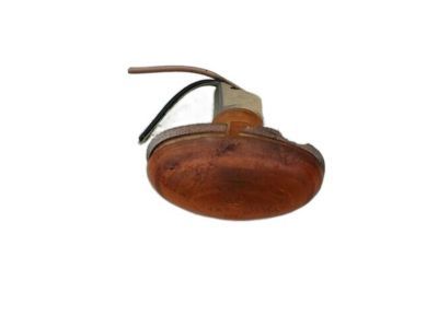 Chrysler Side Marker Light - 4676565