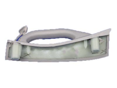 Dodge 1AR40ES3AH HANDLE Grab