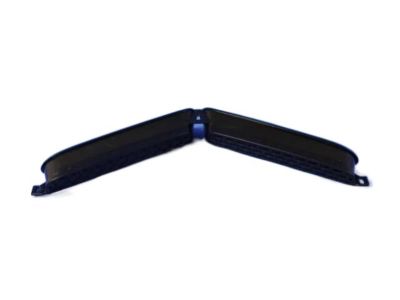 Dodge 68233365AA BEZEL Hood