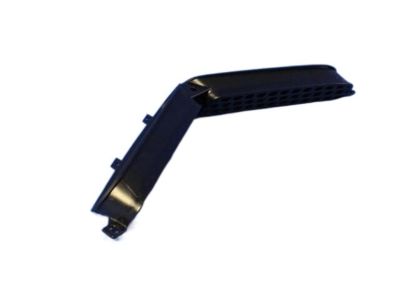 Dodge 68233365AA BEZEL Hood