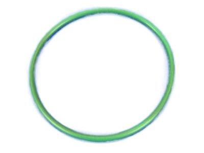 Jeep Fuel Pump Seal - 55366298AA