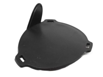 Chrysler 5303888AB COVER Lamp Opening
