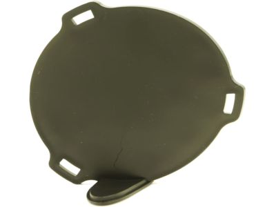 Chrysler 5303888AB COVER Lamp Opening