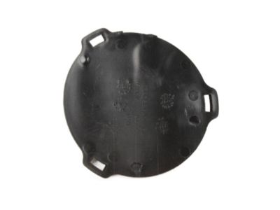 Chrysler 5303888AB COVER Lamp Opening