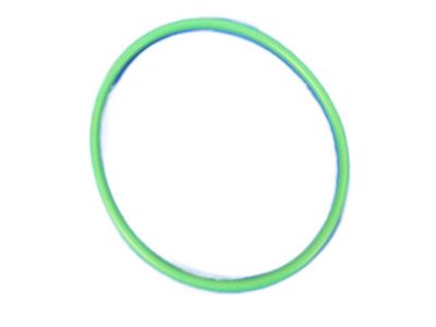 Jeep Fuel Pump Seal - 68079799AA