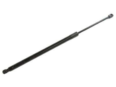 Mopar 68103066AD Lift Cylinder
