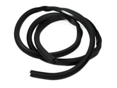Dodge 55277293AA WEATHERSTRIP Door Opening