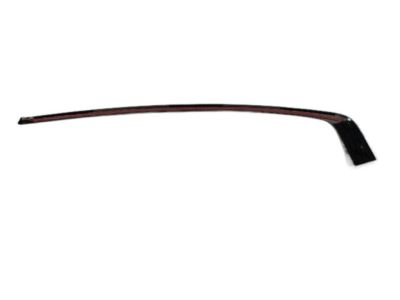 Mopar 57010506AI Molding Day Light Opening Rear Door