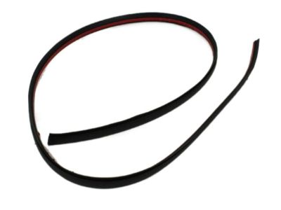 Dodge WU04RXFAE MOLDING Roof