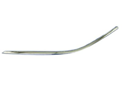 Mopar 57010364AL Molding Day Light Opening Front Door