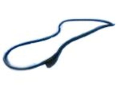 Jeep 55399213AE Door Weatherstrip