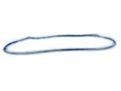 Jeep Grand Cherokee WK Door Seal - 55399213AE