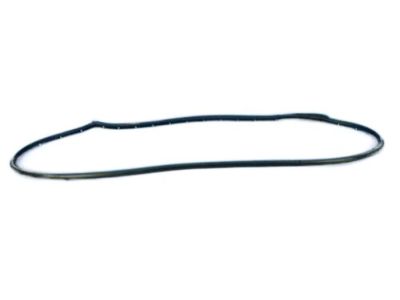 Jeep 55399213AE Door Weatherstrip