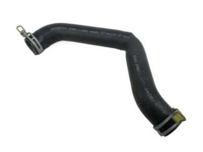 Dodge Radiator Hose - 52028870AF