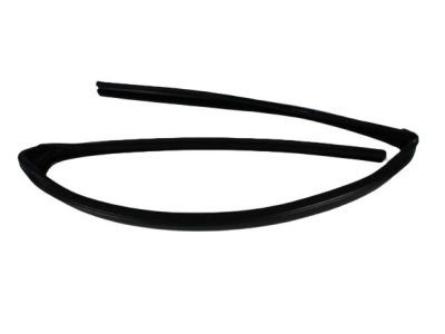 Ram 55112367AF SEAL Glass Run Front
