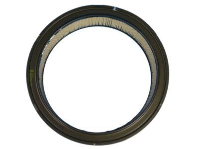 Mopar 68055879AA Air Filter