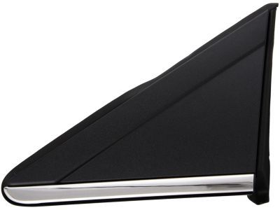 Dodge 1BE431XFAB APPLIQUE MIRROR FLAG