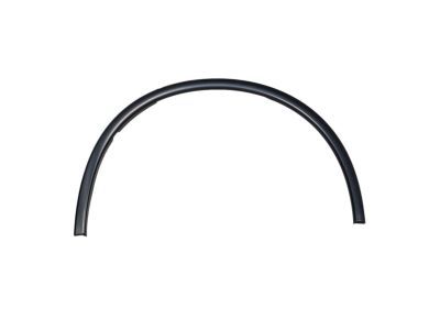 Dodge 1RK21TZZAC MOLDING Wheel Flare Front Fender