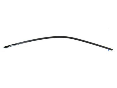 Chrysler 68224370AF MOLDING Day Light Opening Rear Door