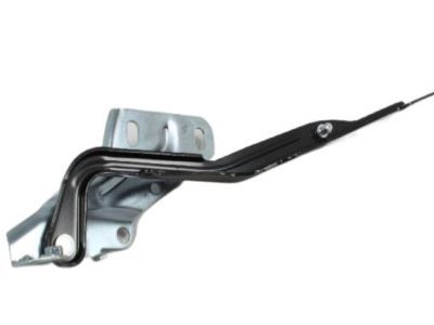 Mopar 55372574AD Hinge, Front Passenger Side