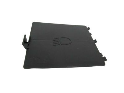 Mopar 68156815AA Door Access