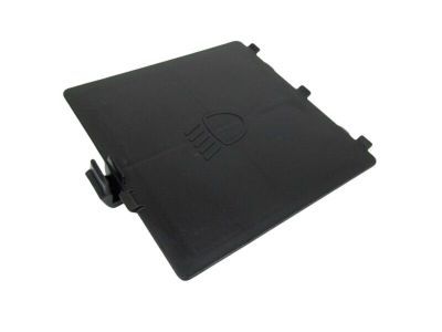 Mopar 68156815AA Door Access