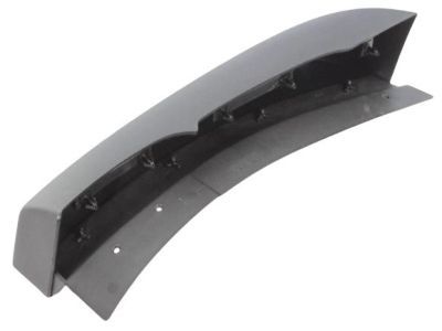 Dodge 55277329AA MOLDING Wheel Opening Flare