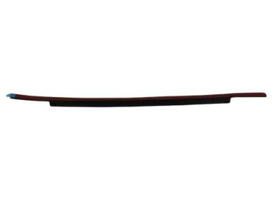 Dodge 55257239AE SEAL Door