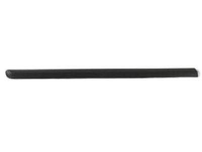 2005 Dodge Caravan Door Moldings - WW05CD7AA
