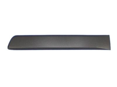 Jeep 5JR89CD7AA MOLDING Rear Door