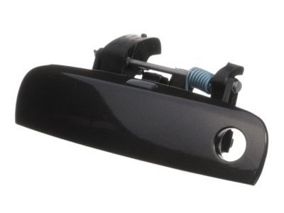 Mopar 1MZ85LAUAJ Handle Front Door Exterior
