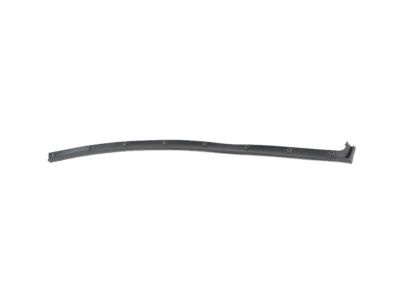 Ram 68400038AA WEATHERSTRIP Front Door Opening