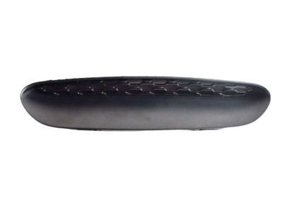 Mopar 68271965AA Bezel Hood