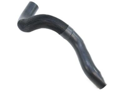 Mopar 52079401AB Lower Hose