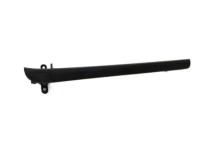Dodge 1FB04TZZAA MOLDING Sill