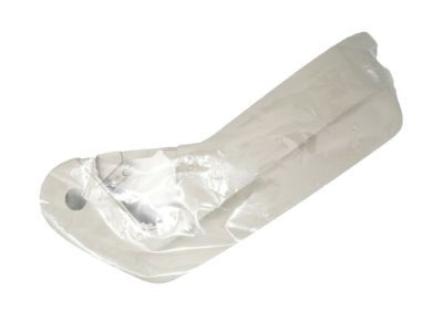 Ram 1JB12BD1AA SHIELD Passenger Outboard