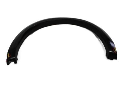 Ram 1TD44AXRAF MOLDING Wheel Opening Flare Rear