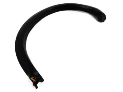 Ram 1TD44AXRAF MOLDING Wheel Opening Flare Rear