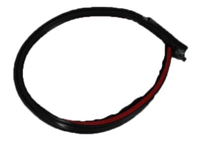Jeep 55175042 WEATHERSTRIP Backlite