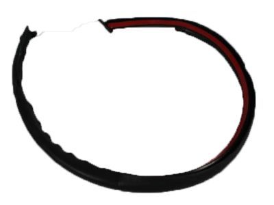 Jeep 55175042 WEATHERSTRIP Backlite