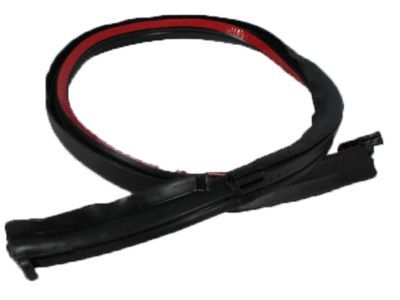 Jeep 55175042 WEATHERSTRIP Backlite