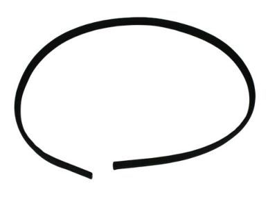 Dodge 55275977AB SEAL Hood To Plenum