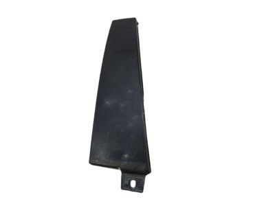 Dodge 4806308AA APPLIQUE Rear Door