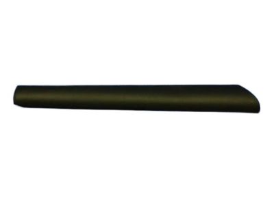 Dodge TR89DX9AD SILL COVER Interior