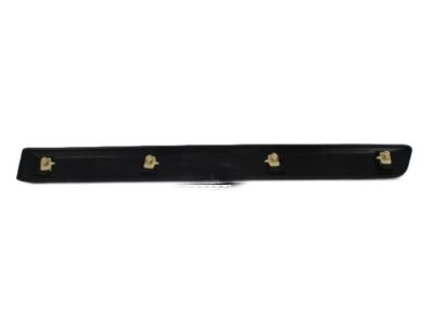 2008 Jeep Grand Cherokee Door Moldings - 1DG40RXFAB