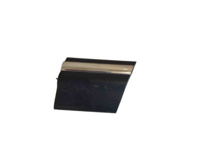 Dodge 55274892 MOLDING Fender