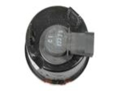 Jeep 55077884AD LAMP Park and Turn Signal