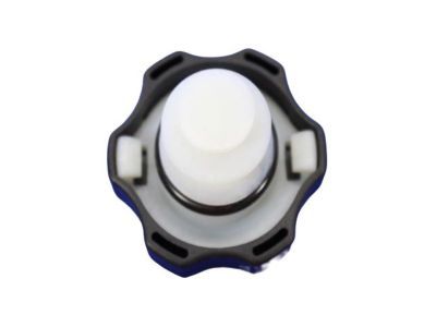Ram 68053132AA CAP Power Steering Reservoir
