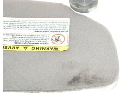 Mopar 5HG79TL2AC Sunvisor, Beige, Driver Side
